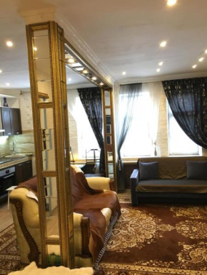 Apartment on Sovetov 62